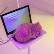 Kevin Clancy,&nbsp;<em>IRIS_SIRI</em>, 2016 jpeg