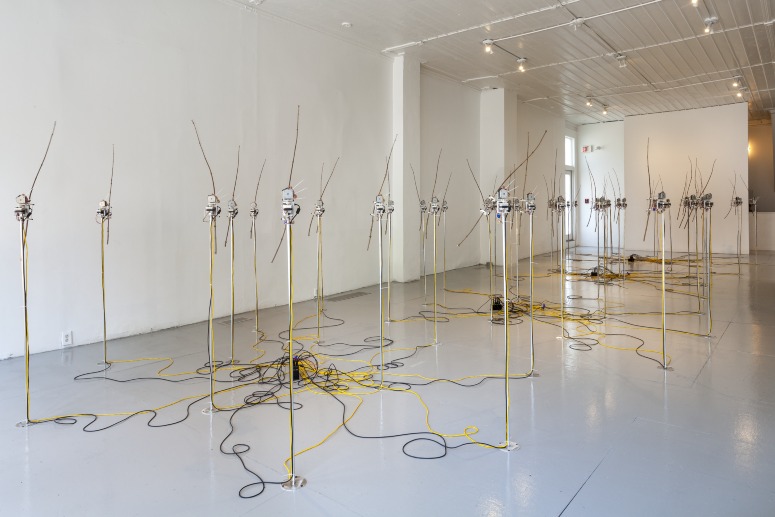 David Bowen, <em>SPACEJUNK</em>, 2016