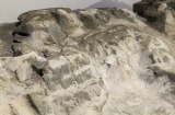 Wendy Judge, <em><s>MOUNTAIN</s></em>, 2016