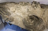 Wendy Judge, <em><s>MOUNTAIN</s></em>, 2016