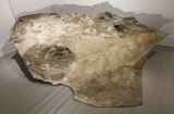 Wendy Judge, <em><s>MOUNTAIN</s></em>, 2016