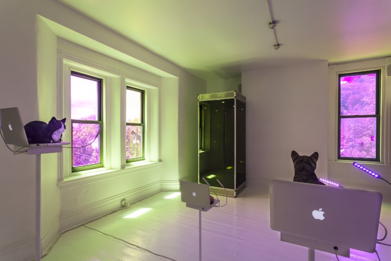 Kevin Clancy, <em>IRIS_SIRI</em>, 2016