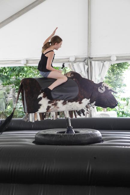 2014 Community Garden Party