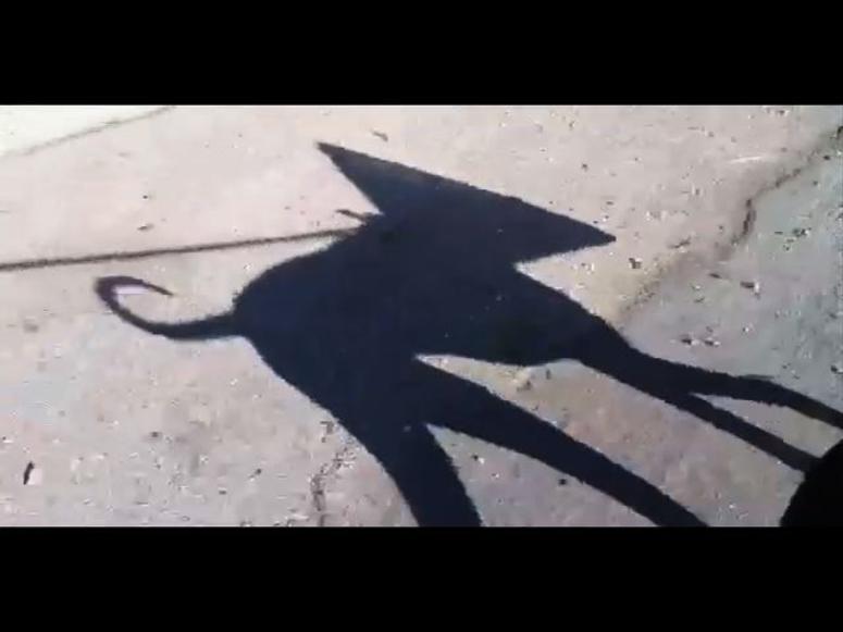 T. Foley, <em>Cone of Shamelessness</em>, 2013