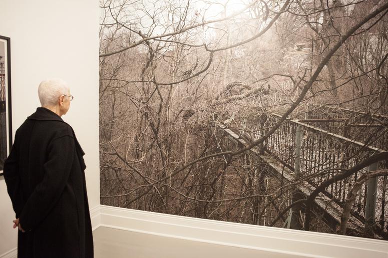 Opening Reception for <em>so it is</em>, 2017