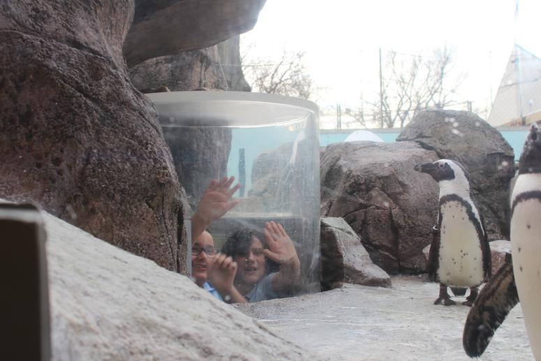 INSTALL: Afternoons @ The Factory