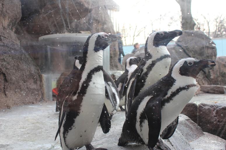 INSTALL: Afternoons @ The Factory