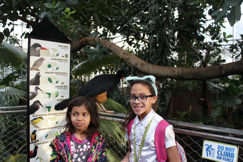 INSTALL: Afternoons @ The Factory