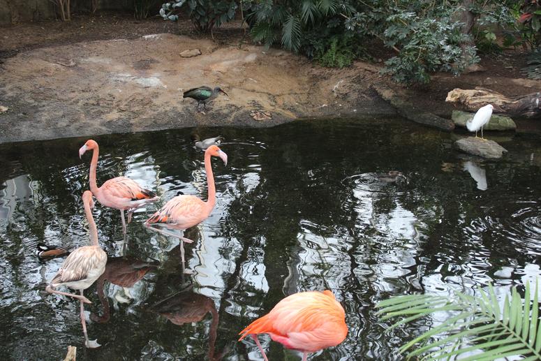 INSTALL: Afternoons @ The Factory