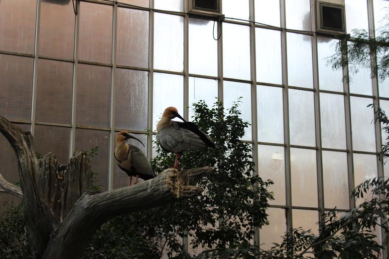 INSTALL: Afternoons @ The Factory