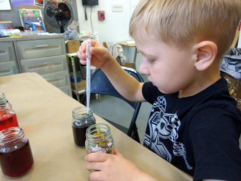 Mini-Camp: SENSATIONS with Jessica Friday