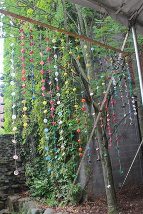 BEYOND THE BACKYARD! TRANSFORMING THE OUTDOORS with Julia Cahill