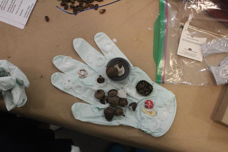 INSTALL: Afternoons @ The Factory - The Everday with Raiona Daisa