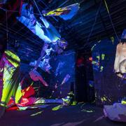 Tra Bouscaren, <em>Night Blooms</em>, 2019