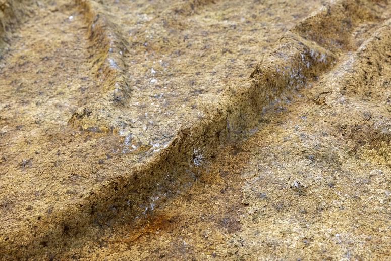 Naomi Draper, "Holding Fragments," 2019