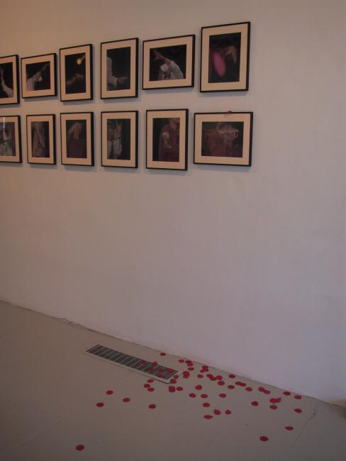 Digital image IRC.2013.00041 showing Pamela Bryan's installation, Satisfaction, at the Mattress Factory, 2003.