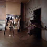 View of Bill Woodrow's permanent installation, "Ship of Fools: Discovery of Time," Mattress Factory, 1986