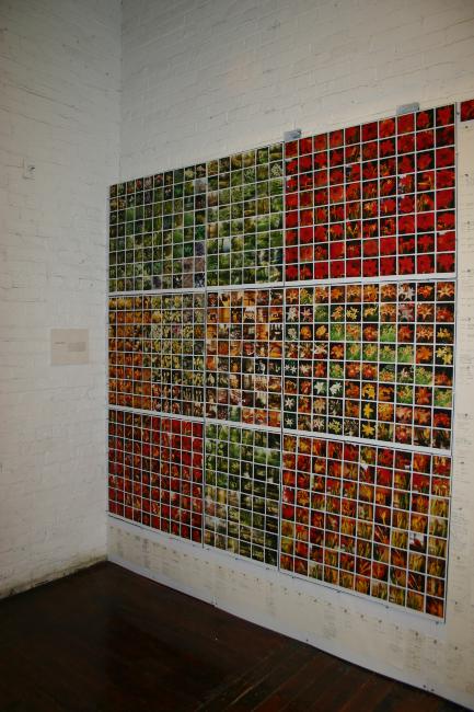 Digital image IRC.2012.07169 showing David Bergholz's installation, Archaeology of Philanthropy, at the Mattress Factory, 2004.