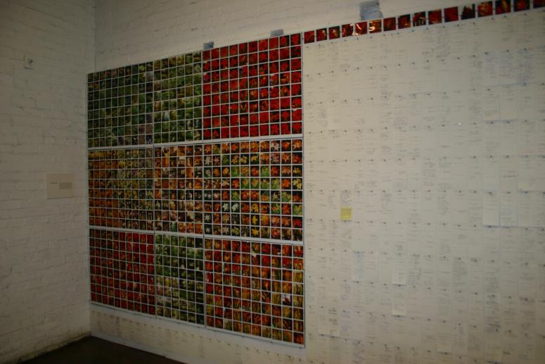 Digital image IRC.2012.07170 showing David Bergholz's installation, Archaeology of Philanthropy, at the Mattress Factory, 2004.