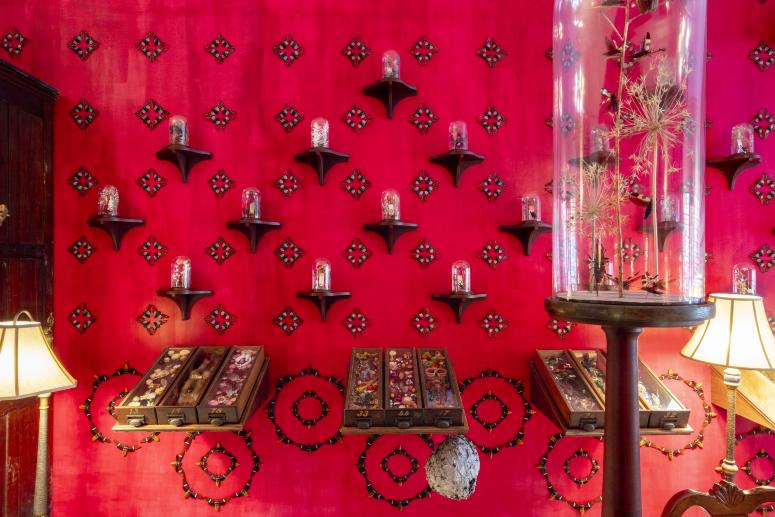 Jennifer Angus, <em>The Museum of All Things</em>, 2020