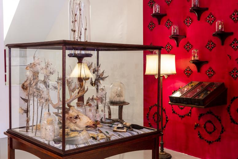 Jennifer Angus, <em>The Museum of All Things</em>, 2020