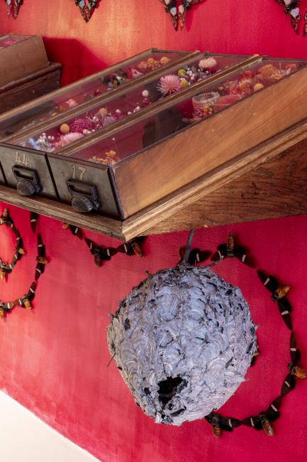 Jennifer Angus, <em>The Museum of All Things</em>, 2020