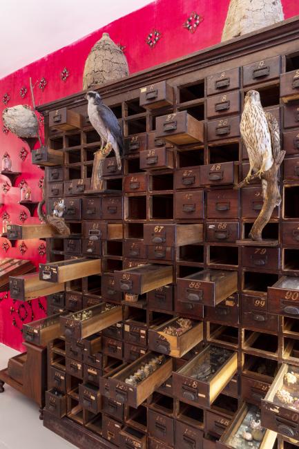 Jennifer Angus, <em>The Museum of All Things</em>, 2020