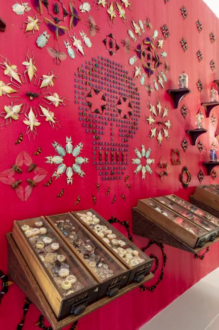 Jennifer Angus, <em>The Museum of All Things</em>, 2020