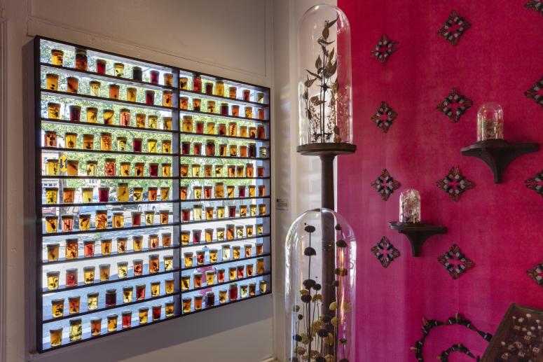 Jennifer Angus, <em>The Museum of All Things</em>, 2020