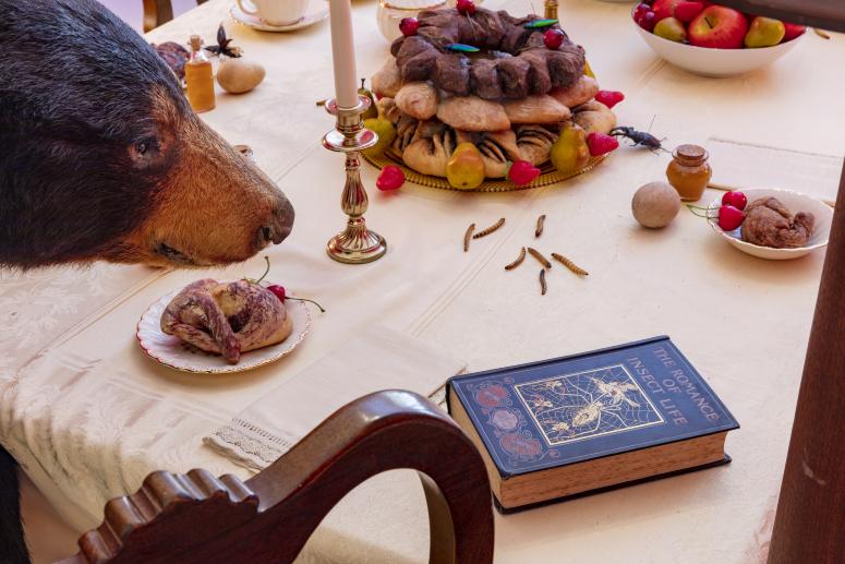 Jennifer Angus, <em>The Museum of All Things</em>, 2020