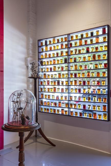 Jennifer Angus, <em>The Museum of All Things</em>, 2020