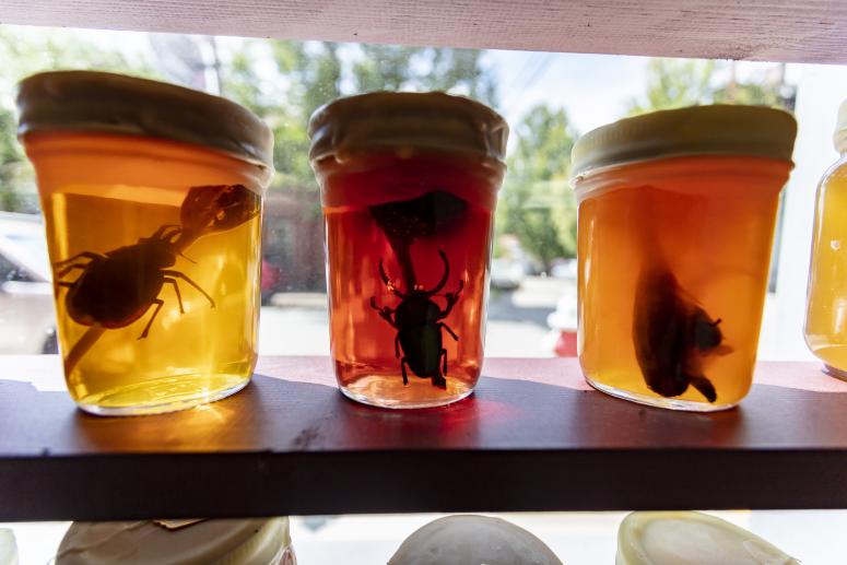 Jennifer Angus, <em>The Museum of All Things</em>, 2020