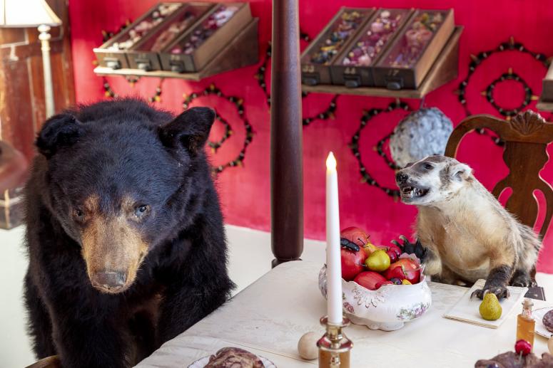 Jennifer Angus, <em>The Museum of All Things</em>, 2020