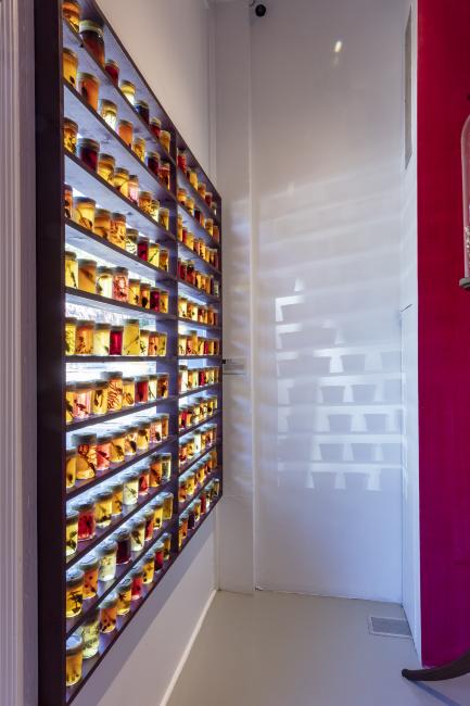 Jennifer Angus, <em>The Museum of All Things</em>, 2020