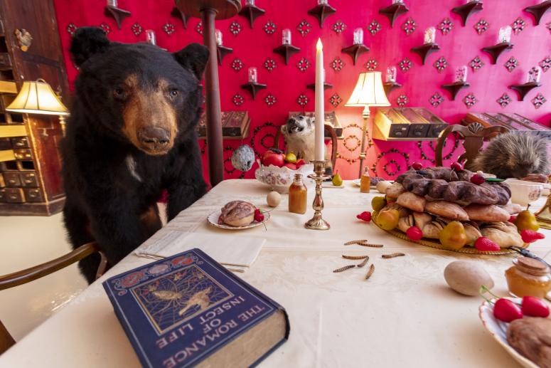 Jennifer Angus, <em>The Museum of All Things</em>, 2020