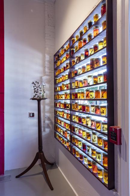 Jennifer Angus, <em>The Museum of All Things</em>, 2020