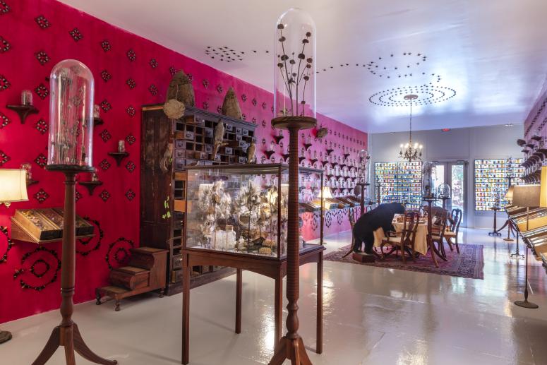 Jennifer Angus, <em>The Museum of All Things</em>, 2020