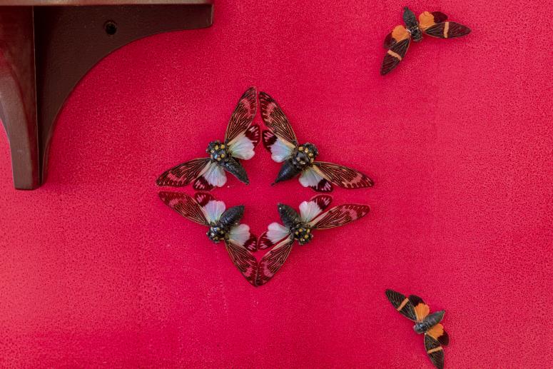 Jennifer Angus, <em>The Museum of All Things</em>, 2020