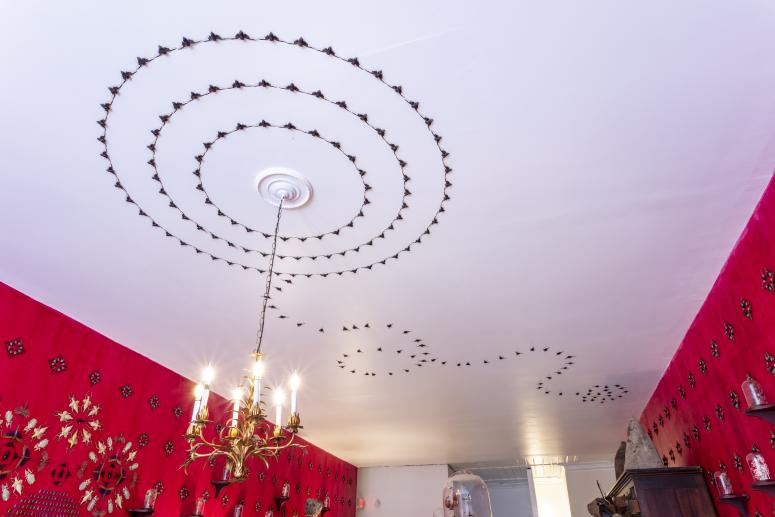 Jennifer Angus, <em>The Museum of All Things</em>, 2020