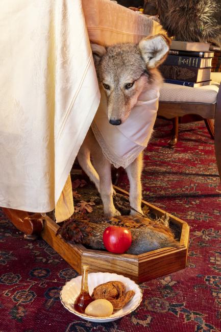 Jennifer Angus, <em>The Museum of All Things</em>, 2020