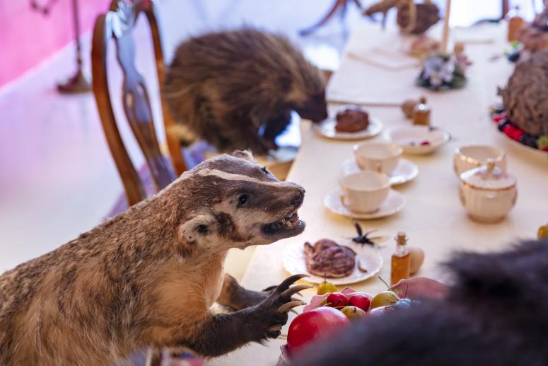 Jennifer Angus, <em>The Museum of All Things</em>, 2020