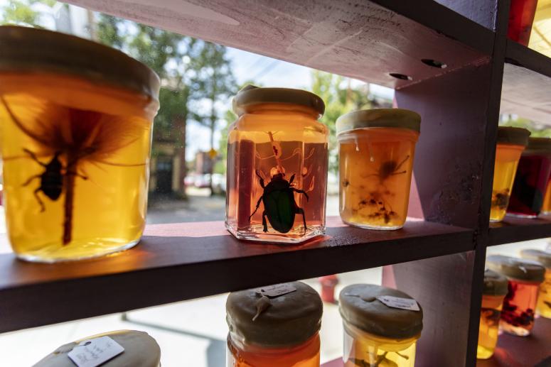 Jennifer Angus, <em>The Museum of All Things</em>, 2020