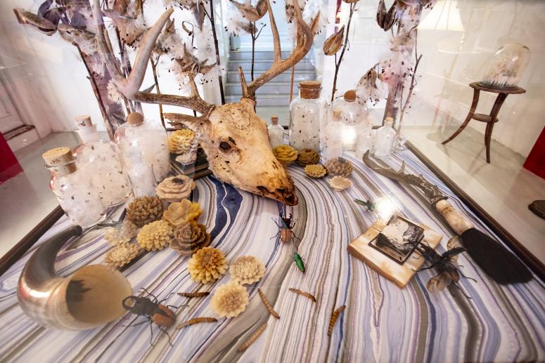 Jennifer Angus, <em>The Museum of All Things</em>, 2020