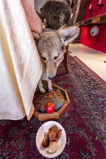 Jennifer Angus, <em>The Museum of All Things</em>, 2020