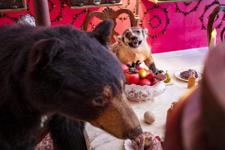 Jennifer Angus, <em>The Museum of All Things</em>, 2020