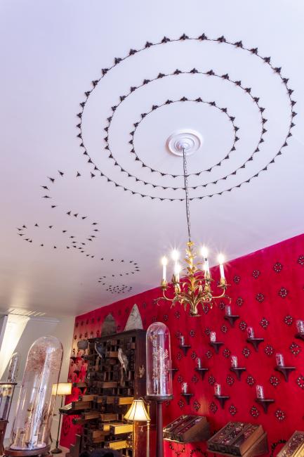 Jennifer Angus, <em>The Museum of All Things</em>, 2020