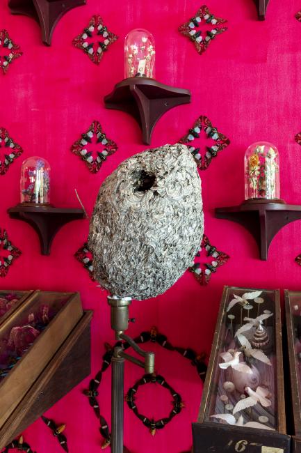 Jennifer Angus, <em>The Museum of All Things</em>, 2020