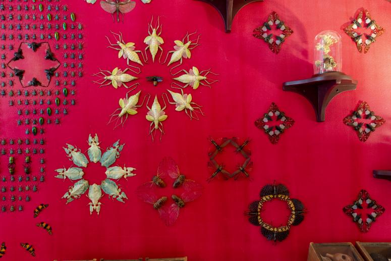 Jennifer Angus, <em>The Museum of All Things</em>, 2020