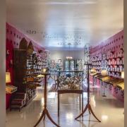 Jennifer Angus, <em>The Museum of All Things</em>, 2020