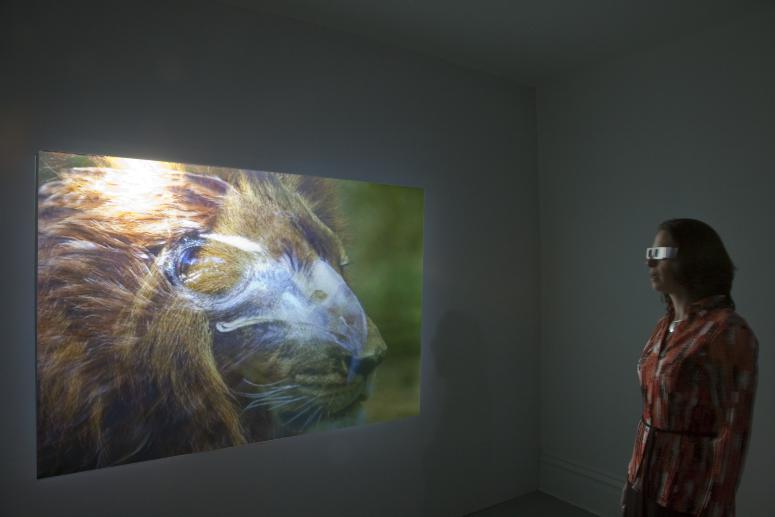Digital image IRC.2012.05274 showing Bea McMahon's installation, InDivisible, at the Mattress Factory, 2010.